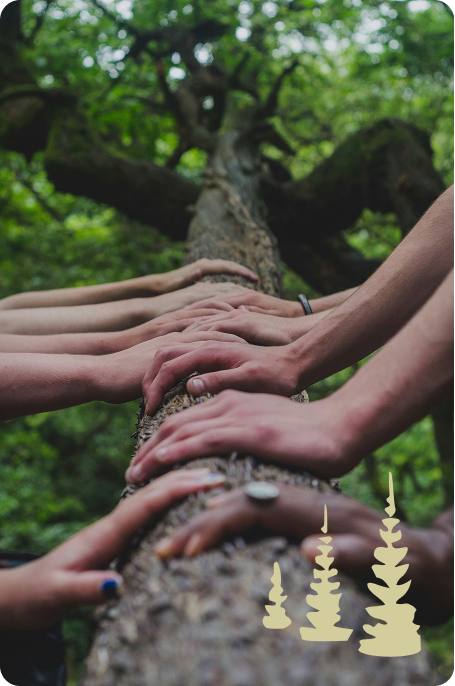 nature-team